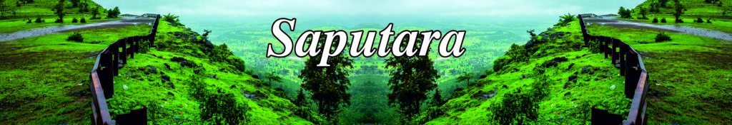 Saputara Tours | Clear tours and adventures | best tours and travels in ahmedabad