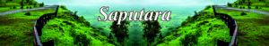 Saputara Hill Station