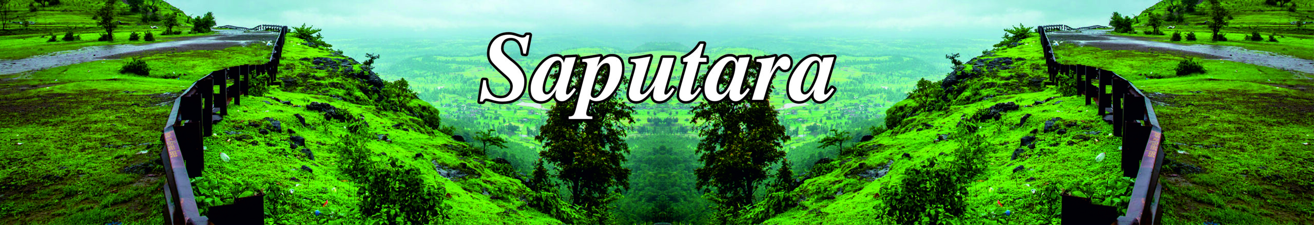 Saputara Hill Station